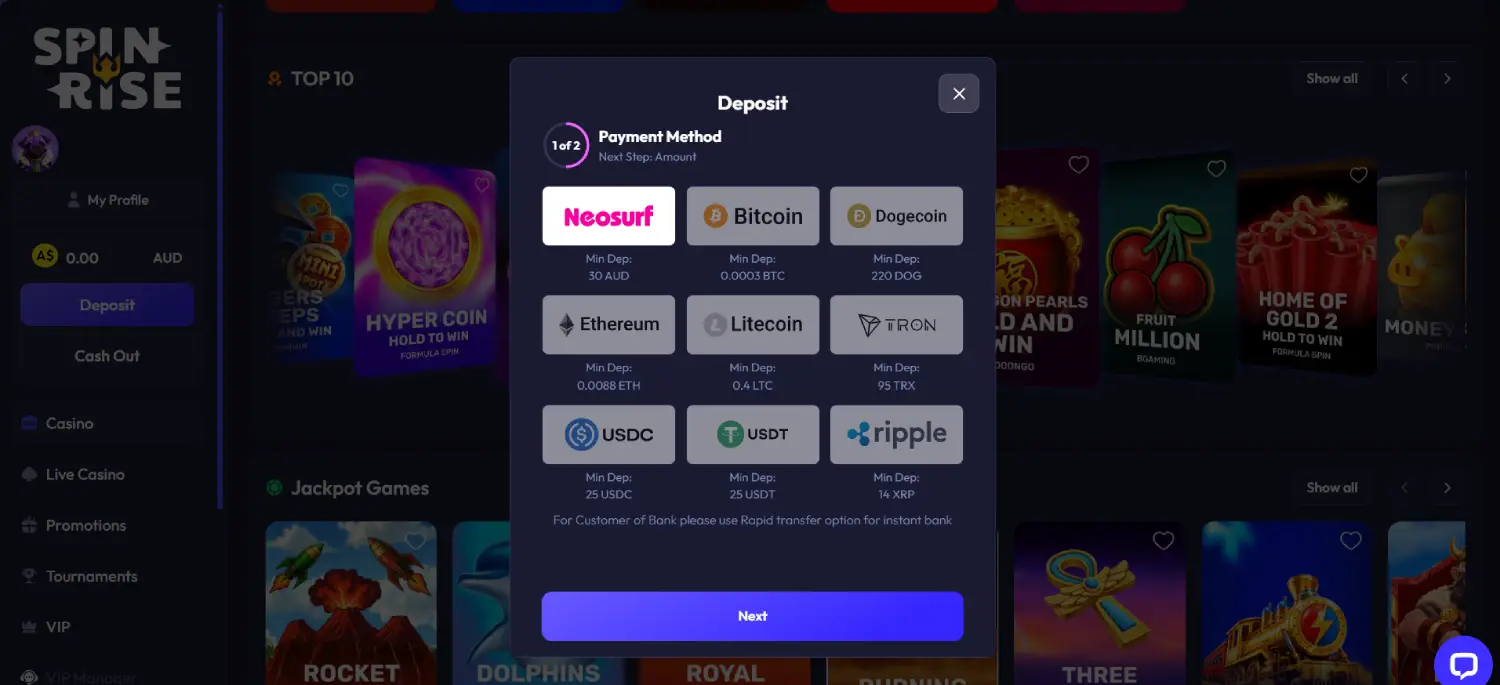 spinrise-payment-page
